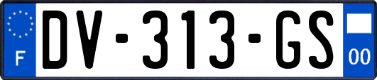 DV-313-GS