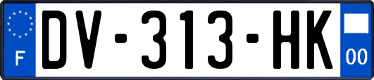 DV-313-HK