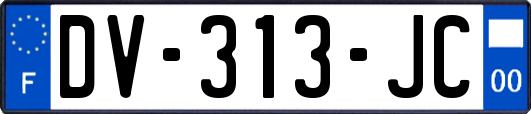 DV-313-JC