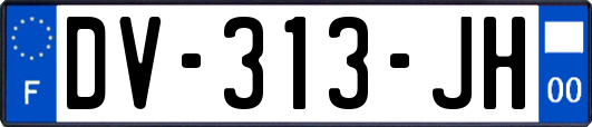 DV-313-JH