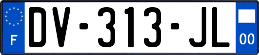 DV-313-JL