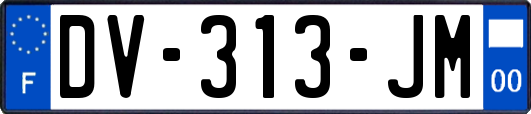 DV-313-JM