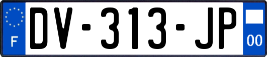 DV-313-JP