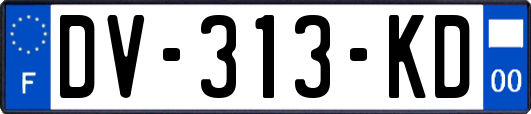 DV-313-KD