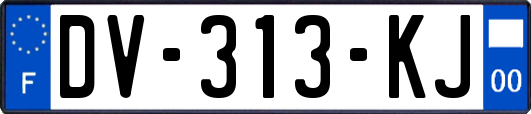 DV-313-KJ