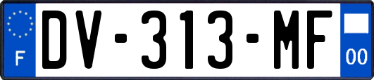 DV-313-MF