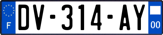 DV-314-AY