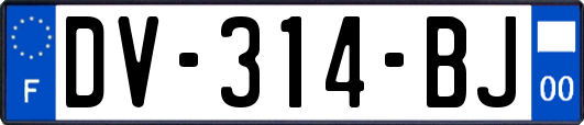 DV-314-BJ