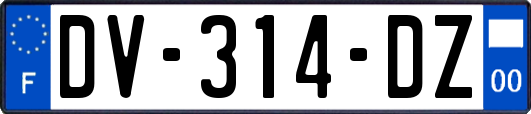 DV-314-DZ