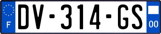 DV-314-GS