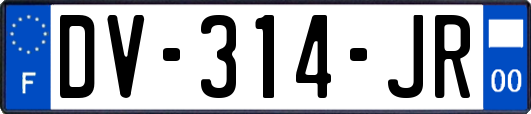 DV-314-JR