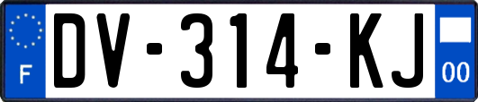 DV-314-KJ