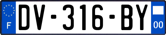 DV-316-BY