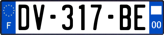 DV-317-BE