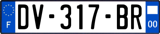 DV-317-BR