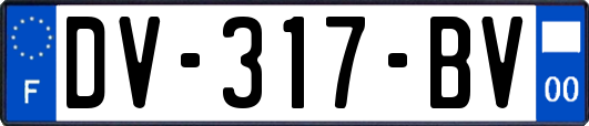 DV-317-BV