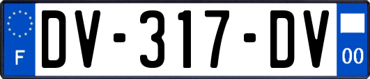 DV-317-DV