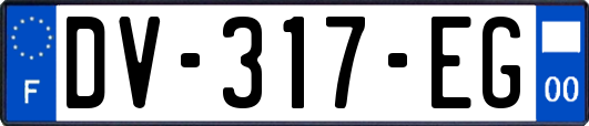 DV-317-EG