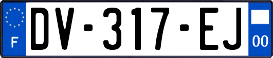 DV-317-EJ