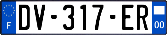 DV-317-ER