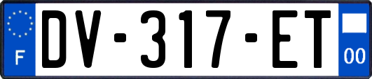 DV-317-ET