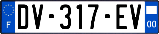 DV-317-EV