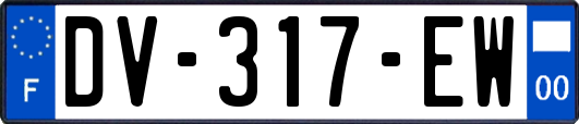 DV-317-EW