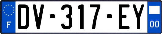 DV-317-EY