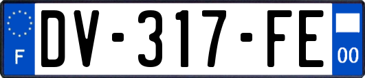 DV-317-FE