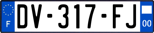 DV-317-FJ