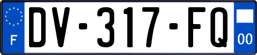 DV-317-FQ