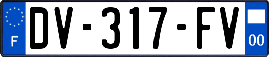 DV-317-FV