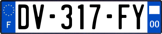 DV-317-FY