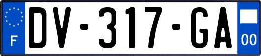 DV-317-GA