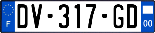 DV-317-GD