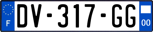 DV-317-GG