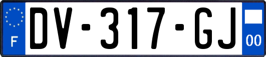 DV-317-GJ