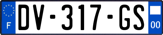 DV-317-GS