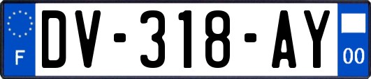 DV-318-AY