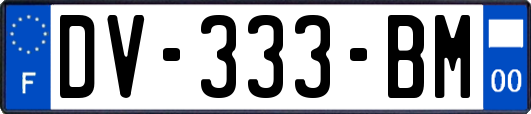 DV-333-BM