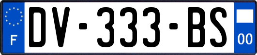 DV-333-BS