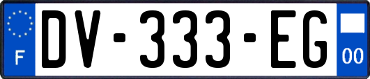 DV-333-EG