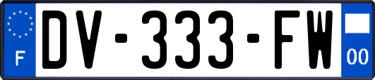 DV-333-FW