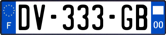 DV-333-GB