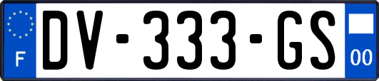 DV-333-GS