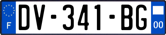 DV-341-BG