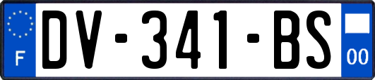 DV-341-BS