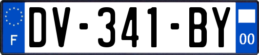 DV-341-BY