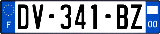 DV-341-BZ