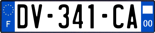 DV-341-CA